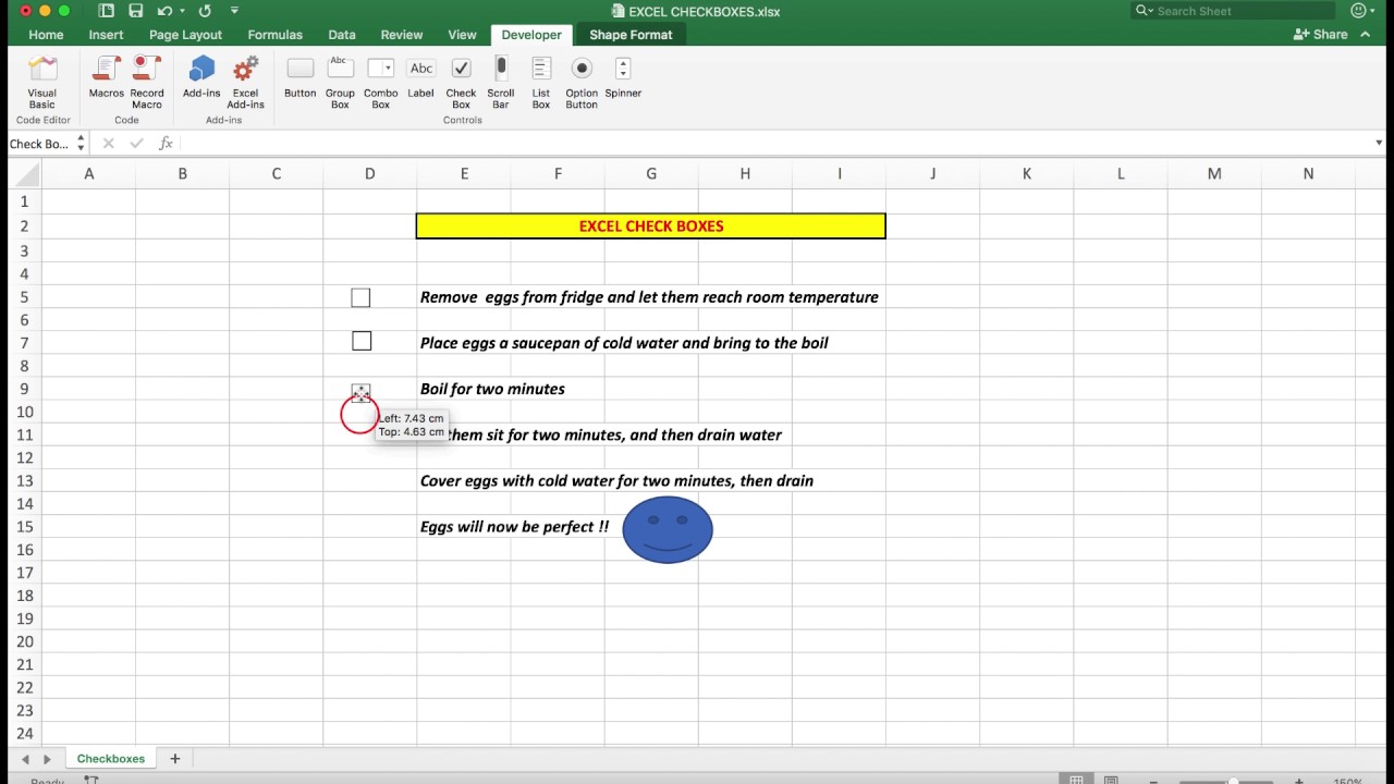 how do you make a check on excel for mac